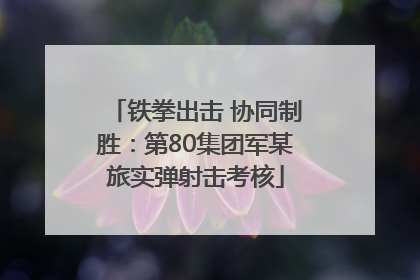 铁拳出击 协同制胜：第80集团军某旅实弹射击考核