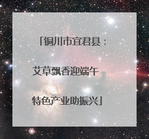 铜川市宜君县：艾草飘香迎端午 特色产业助振兴