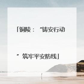 铜陵：“铸安行动”筑牢平安防线