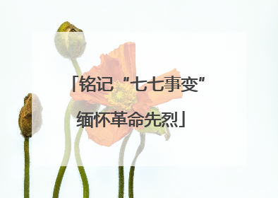 铭记“七七事变” 缅怀革命先烈