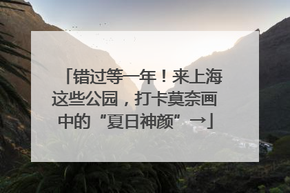 错过等一年！来上海这些公园，打卡莫奈画中的“夏日神颜”→