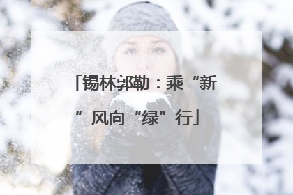 锡林郭勒：乘“新”风向“绿”行