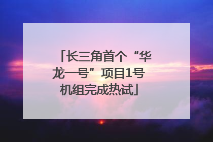 长三角首个“华龙一号”项目1号机组完成热试
