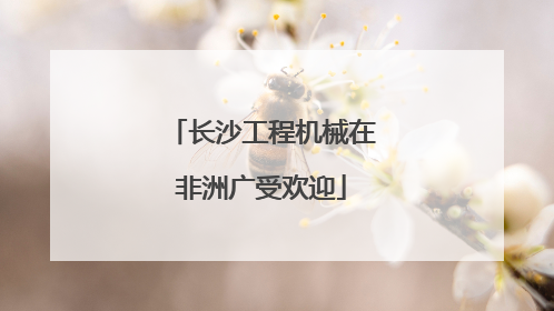 长沙工程机械在非洲广受欢迎