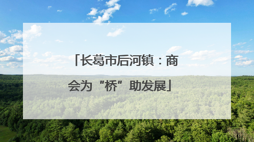 长葛市后河镇：商会为“桥”助发展