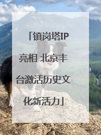 镇岗塔IP亮相 北京丰台激活历史文化新活力