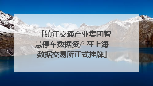 镇江交通产业集团智慧停车数据资产在上海数据交易所正式挂牌