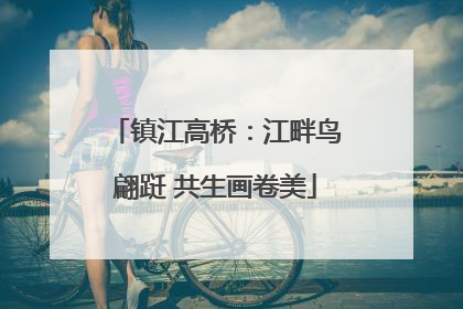 镇江高桥:江畔鸟翩跹 共生画卷美