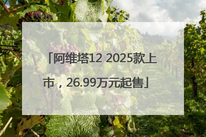 阿维塔12 2025款上市，26.99万元起售