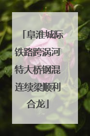 阜淮城际铁路跨涡河特大桥钢混连续梁顺利合龙