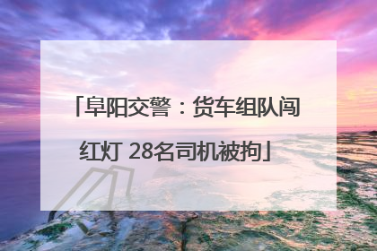阜阳交警：货车组队闯红灯 28名司机被拘