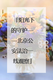 阳光下的守护——北京公安法治一线观察