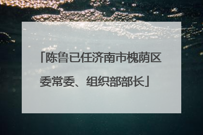 陈鲁已任济南市槐荫区委常委、组织部部长