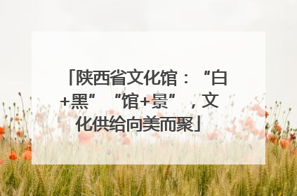 陕西省文化馆：“白+黑”“馆+景”，文化供给向美而聚