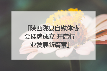 陕西陇县自媒体协会挂牌成立 开启行业发展新篇章