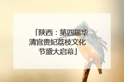 陕西：第四届华清宫贵妃荔枝文化节盛大启幕