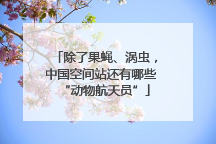 除了果蝇、涡虫，中国空间站还有哪些“动物航天员”