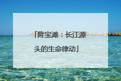 隆宝滩：长江源头的生命律动