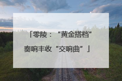 零陵：“黄金搭档”奏响丰收“交响曲”