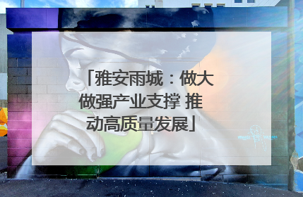 雅安雨城：做大做强产业支撑 推动高质量发展