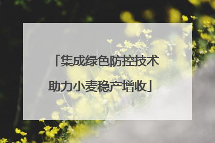 集成绿色防控技术助力小麦稳产增收