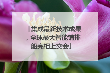 集成最新技术成果，全球最大智能铺排船亮相上交会