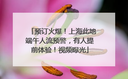 预订火爆！上海此地端午人流预警，有人提前体验！视频曝光