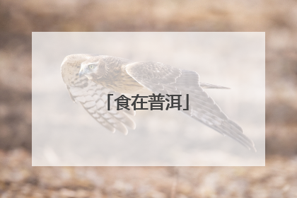 食在普洱