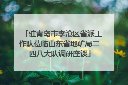 驻青岛市李沧区省派工作队莅临山东省地矿局二四八大队调研座谈