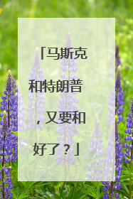 马斯克和特朗普，又要和好了？
