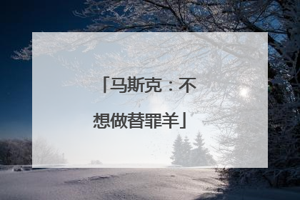 马斯克：不想做替罪羊