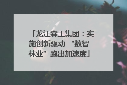 龙江森工集团：实施创新驱动 “数智林业”跑出加速度