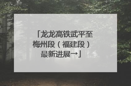 龙龙高铁武平至梅州段（福建段）最新进展→