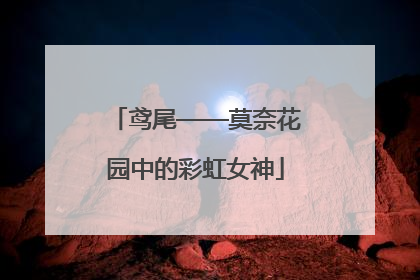 鸢尾——莫奈花园中的彩虹女神