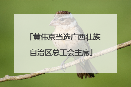 黄伟京当选广西壮族自治区总工会主席