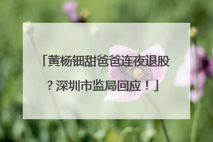 黄杨钿甜爸爸连夜退股？深圳市监局回应！