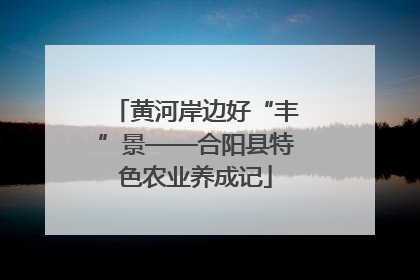 黄河岸边好“丰”景——合阳县特色农业养成记