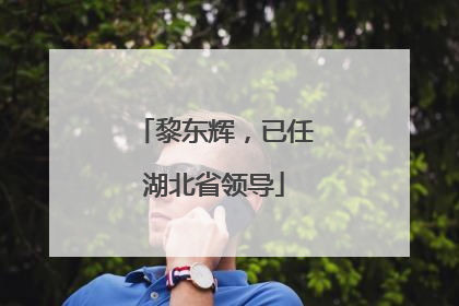 黎东辉，已任湖北省领导