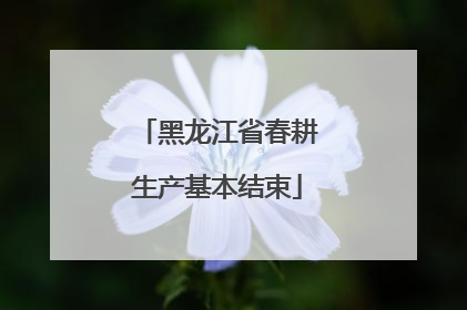 黑龙江省春耕生产基本结束