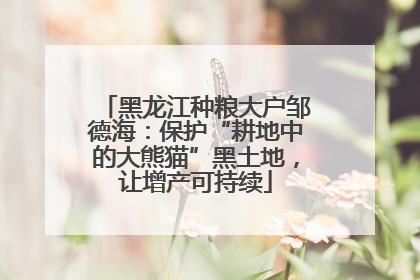 黑龙江种粮大户邹德海：保护“耕地中的大熊猫”黑土地，让增产可持续