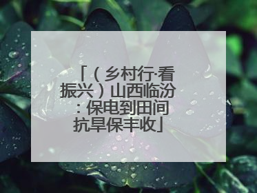 （乡村行·看振兴）山西临汾：保电到田间 抗旱保丰收