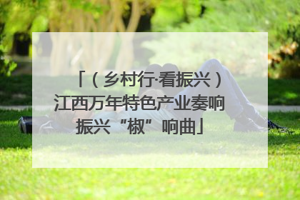 （乡村行·看振兴）江西万年特色产业奏响振兴“椒”响曲