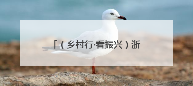 （乡村行·看振兴）浙江磐安：一村一画像 山水也能带“流量”