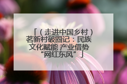 （走进中国乡村）茗新村破圈记：民族文化赋能 产业借势 “网红东风”