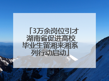 3万余岗位引才 湖南省促进高校毕业生留湘来湘系列行动启动