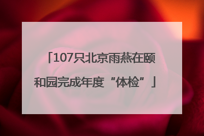 107只北京雨燕在颐和园完成年度“体检”