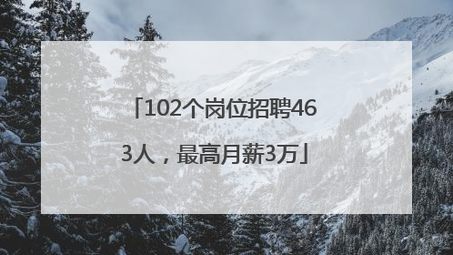 102个岗位招聘463人，最高月薪3万