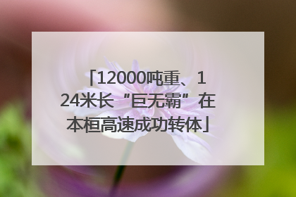 12000吨重、124米长“巨无霸”在本桓高速成功转体