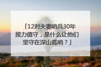 12对夫妻哨兵30年接力值守，是什么让他们坚守在深山孤哨？