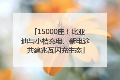 15000座！比亚迪与小桔充电、新电途共建兆瓦闪充生态